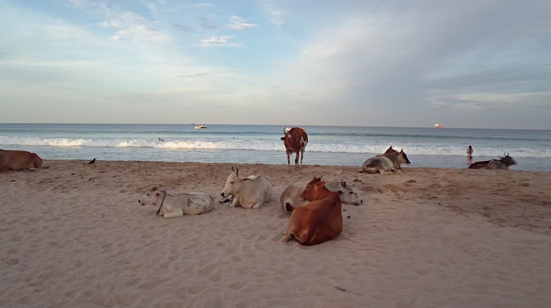 Uppuveli Beach - Uppuveli Beach Uppuveli Beach, Trincomalee, Sri Lanka