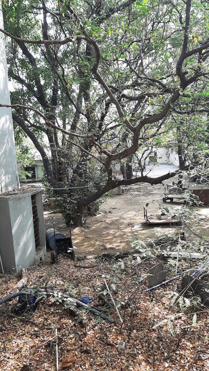 Greater Chennai Corporation Park - Greater Chennai Corporation Park X6R9+834, Indira Gandhi Nagar, Velachery, Chennai, Tamil Nadu 600042, India