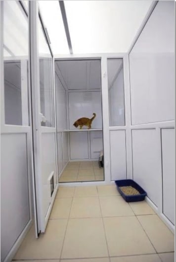 Ivy Boarding Kennels & Cattery - Ivy Boarding Kennels & Cattery Storeton Lodge Farm, Keepers Lane, Birkenhead, Storeton CH63 6HX, UK
