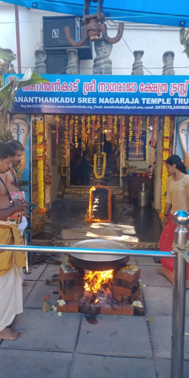 Ananthankadu Sree Nagaraja Temple Trust - Ananthankadu Sree Nagaraja Temple Trust TC 37, Trust office, 408, ananthankadu lane, Fort, East Fort, westFort, Thiruvananthapuram, Kerala 695023, India