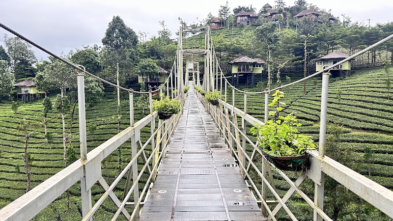 Wild Planet Jungle Resort - Wild Planet Jungle Resort Between Wayanad Hills & Mudumalai Tiger Reserve, Devala, Kerala 679333, India