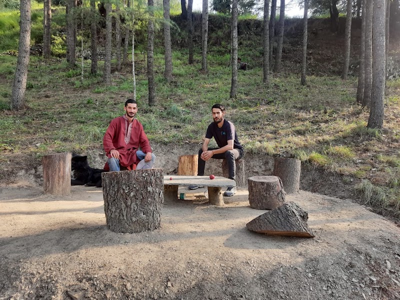 CHANDEL FOREST - CHANDEL FOREST 3C3Q+289, Darghot, Himachal Pradesh 171220, India