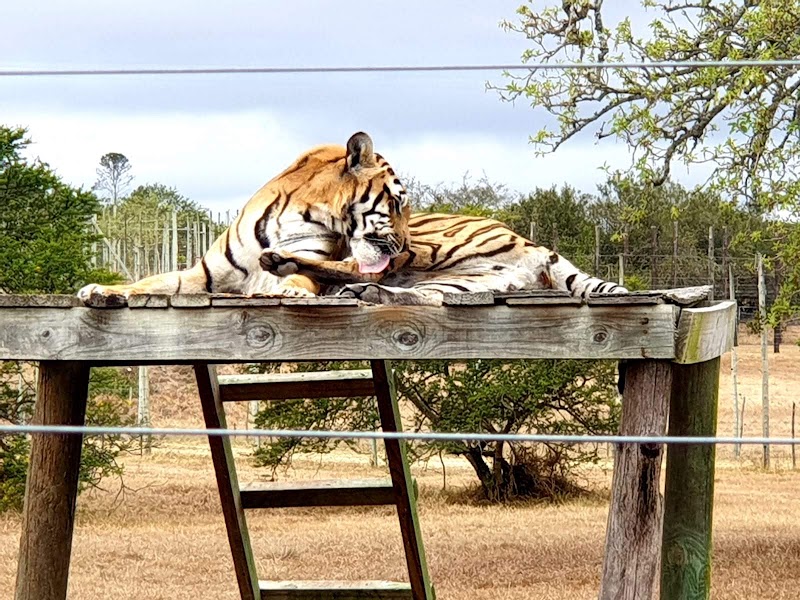 Kwantu Private Game Reserve - Kwantu Private Game Reserve, 1 Daniel street, Sidbury, 6130, South Africa