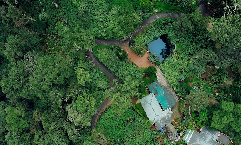 Bracknell Forest Resort - Bracknell Forest Resort, Pothamedu, Bison Valley, Pooppara Rd, Munnar, Keralam 685565, India