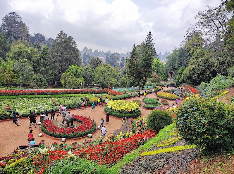 Government Botanical Garden - Government Botanical Garden CP96+HH2, Vannarapettai, Ooty, Tamil Nadu 643001, India