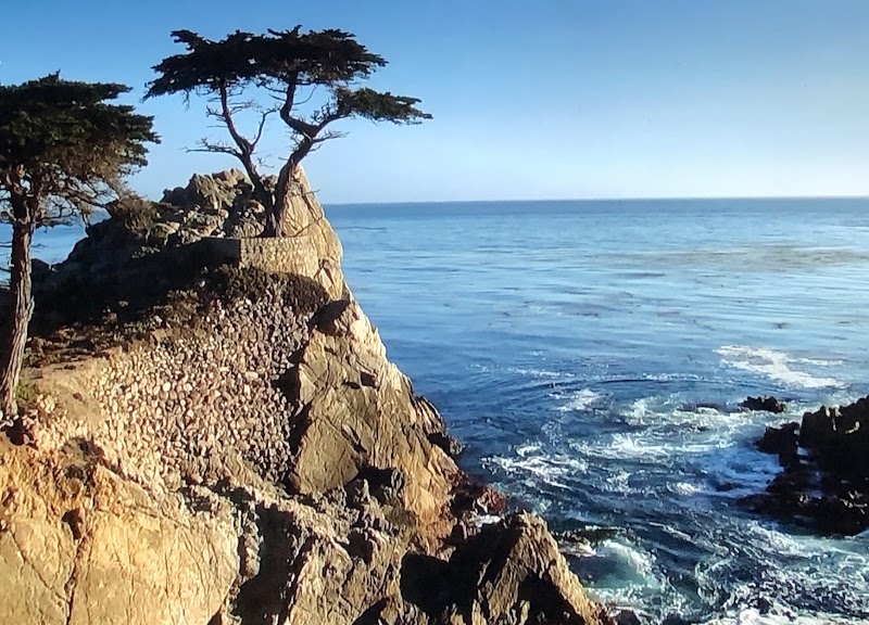 17 Mile Drive - 17 Mile Drive, 17 Mile Dr, Pebble Beach, CA 93953, USA