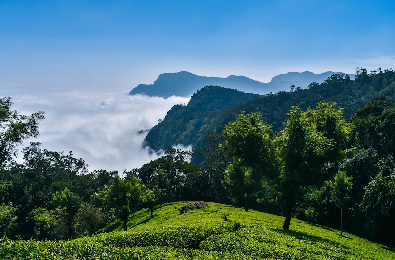 Nilgiri Mountains - Nilgiri Mountains Nilgiri Mountains, Jagathala, Tamil Nadu 643202