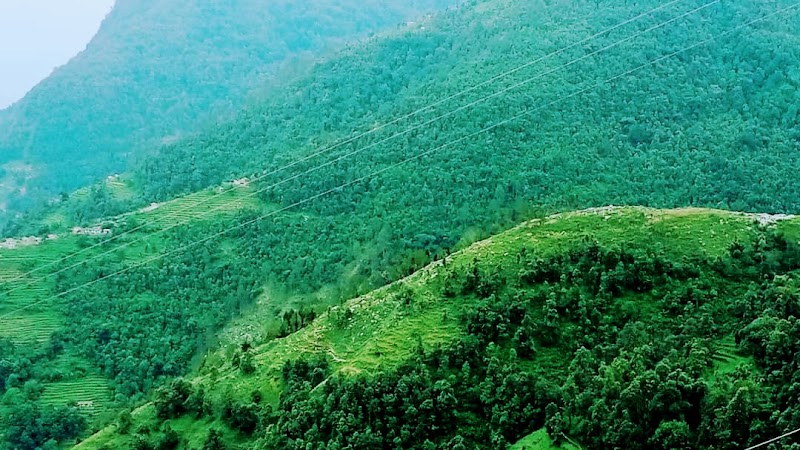 Hill View Homestay