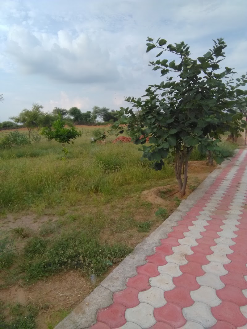 Om Banna Temple - Om Banna Temple 24CW+V65, Deenwaladkhani, Rajasthan 332303, India