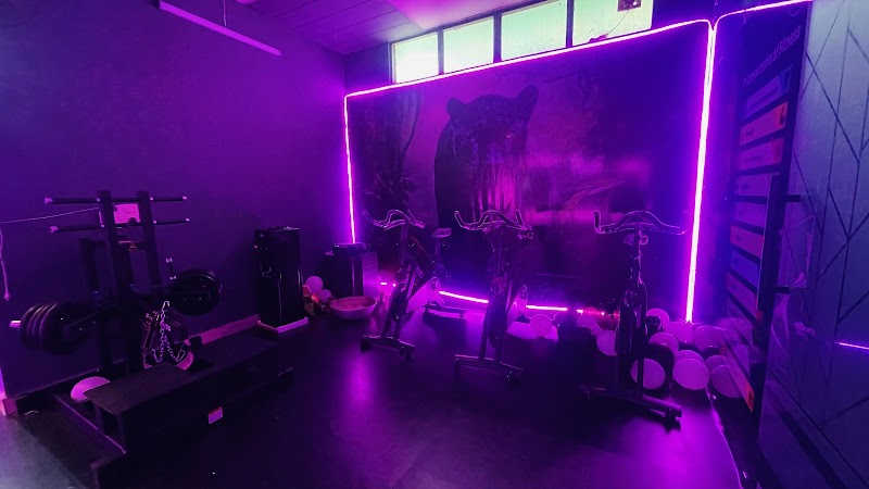 The panthers gym - The panthers gym P-106, Uppal Southend, Sector 48, Gurugram, Haryana 122018, India
