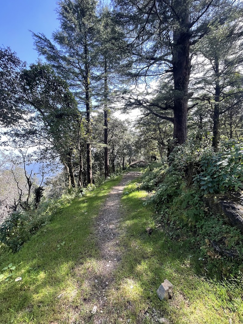 Benog Wildlife Sanctuary - Benog Wildlife Sanctuary Charleville, Mussorie Range, Uttarakhand 248179, India