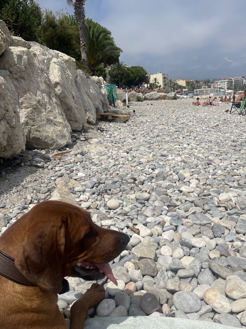 Plage Publique de la Lanterne,chiens autorisés - Plage Publique de la Lanterne,chiens autorisés 300 Prom. des Anglais, 06200 Nice, France