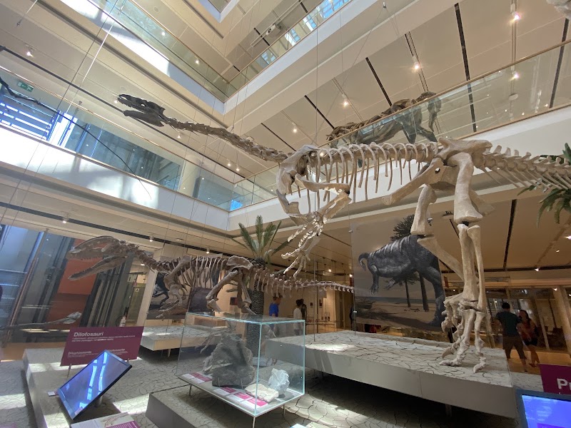 MUSE - Science Museum - MUSE - Science Museum Corso del Lavoro e della Scienza, 3, 38122 Trento TN, Italy
