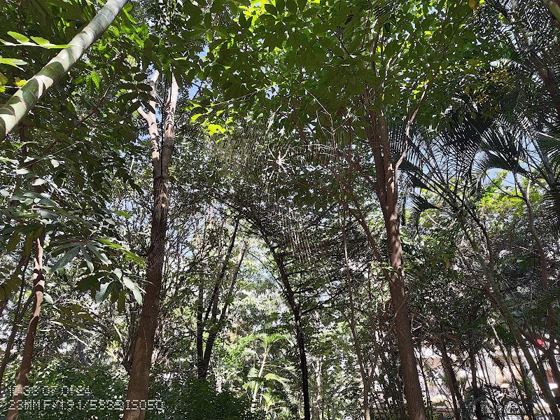 Royal Lake Front Park - Royal Lake Front Park VHCG+3VM, 8th Phase, J. P. Nagar, Bengaluru, Kothnur, Karnataka 560076, India