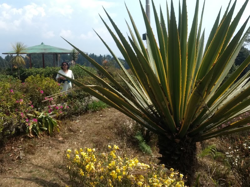Delo Park - Delo Park, 3GQ3+M83, Deolo, Homes St.And Graihms, Kalimpong, West Bengal 734316, India
