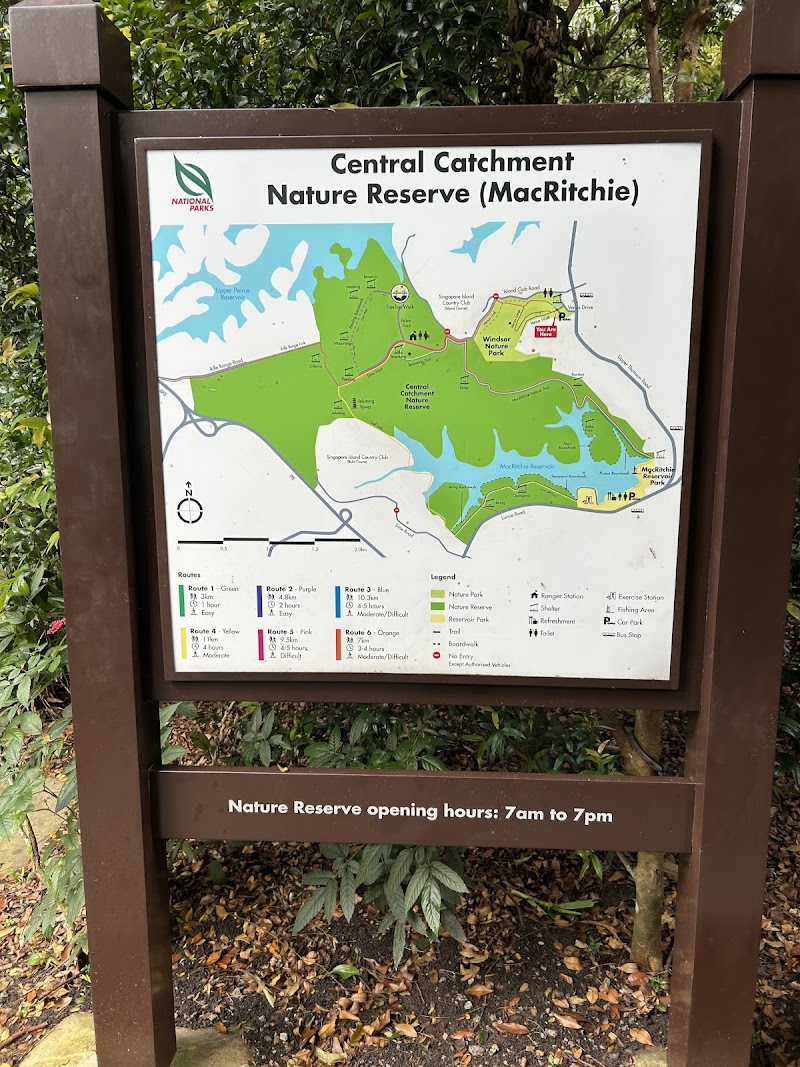 MacRitchie Reservoir - MacRitchie Reservoir, Singapore