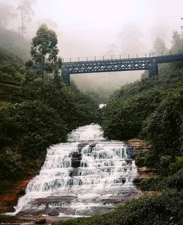 Nanuoya - Nanuoya, Sri Lanka