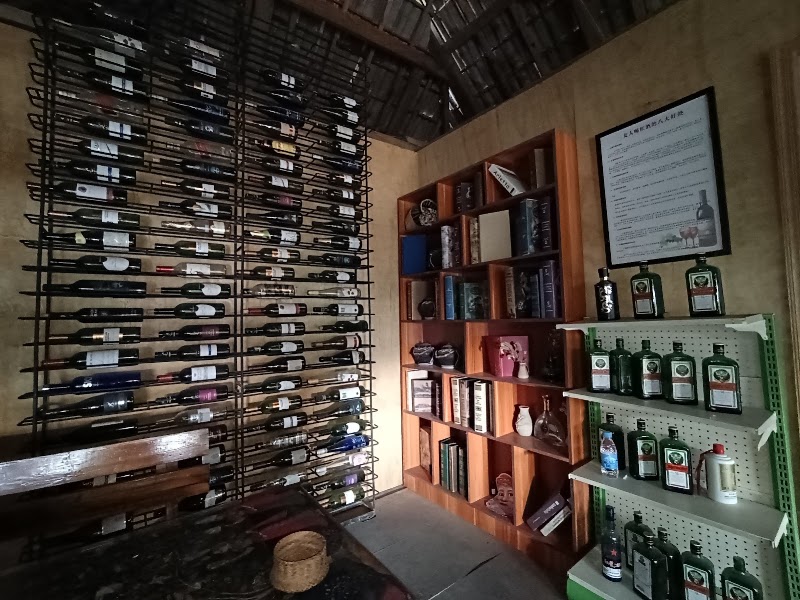 Menglunzhen - Menglunzhen, Mengla County, Xishuangbanna Dai Autonomous Prefecture, Yunnan, China, 666303