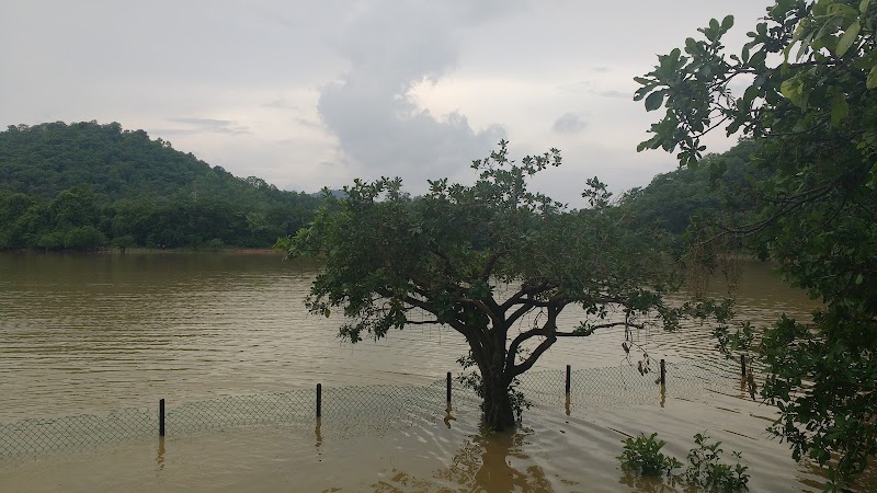 Laknavaram Cheruvu - Laknavaram Cheruvu, Telangana