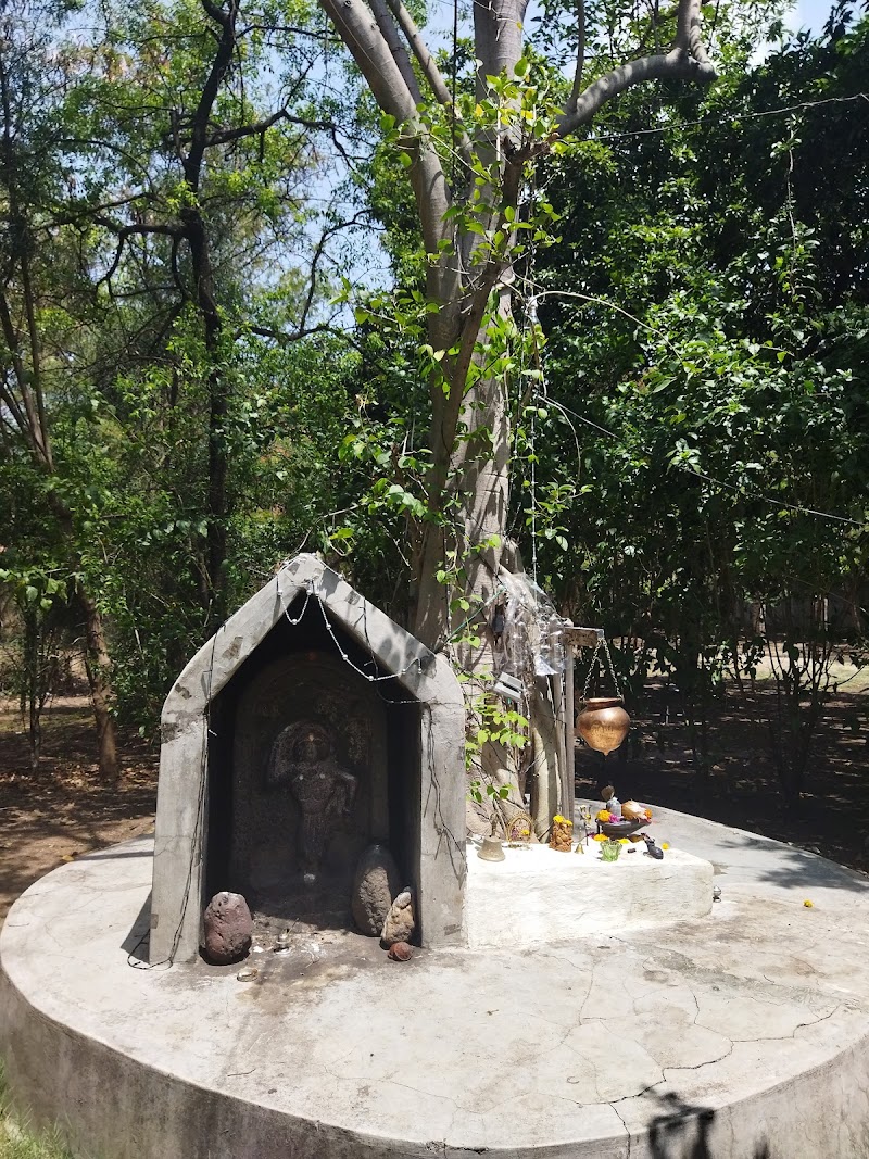 Koregaon Park - Koregaon Park, Pune, Maharashtra 411001, India