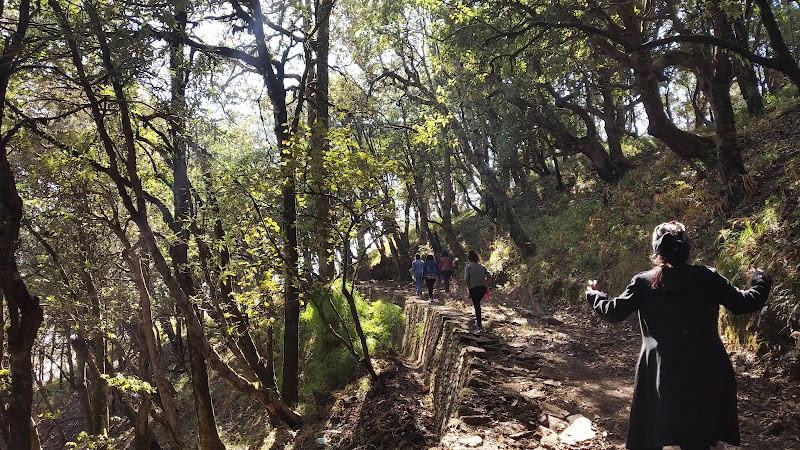 Tagore Top - Tagore Top, CH73+F95, Gagar, Bhowali Range, Uttarakhand 263137, India