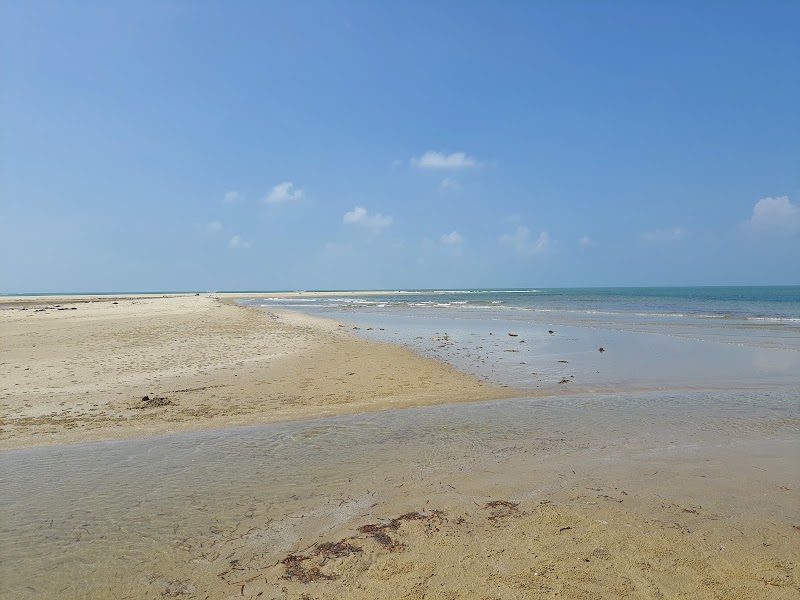 Dhanushkodi Beach