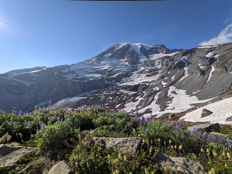 Panorama Point Overlook - Panorama Point Overlook, Ashford, WA 98304, USA