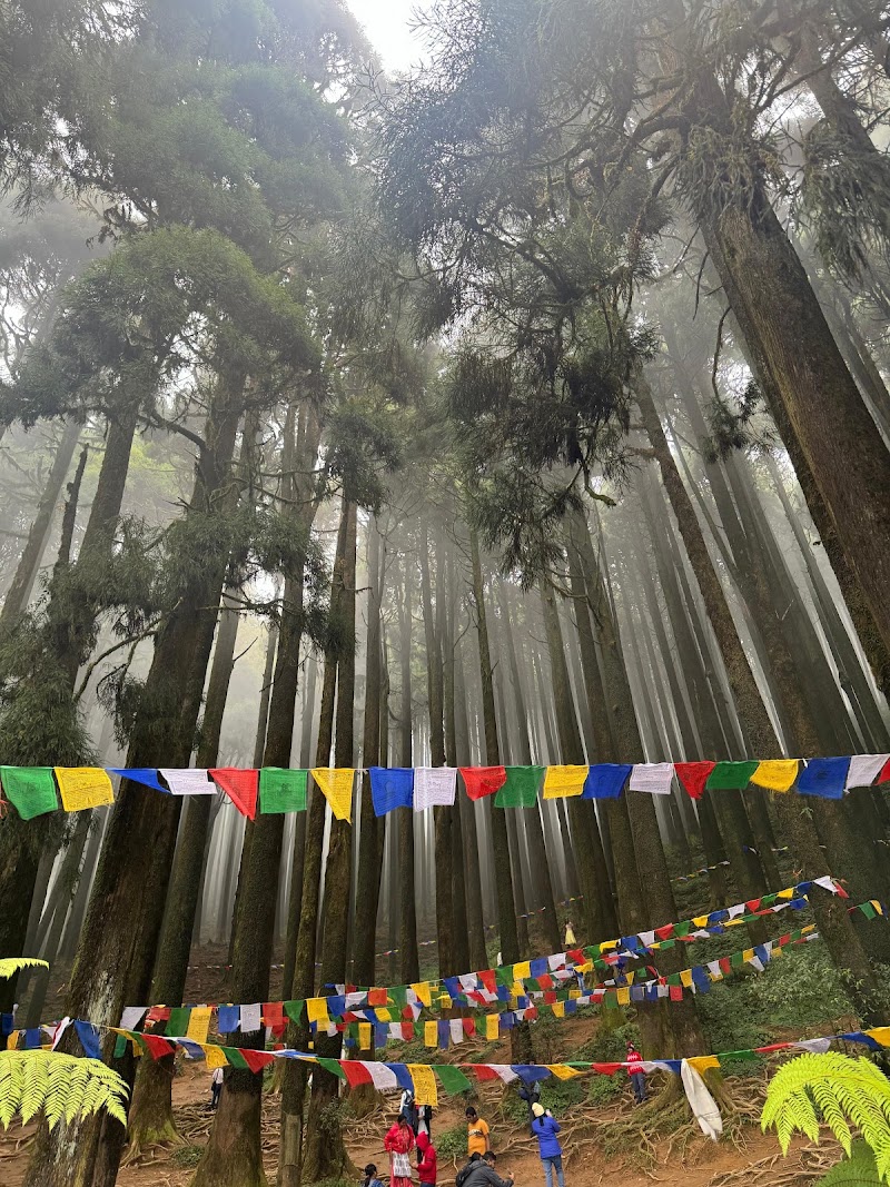 Lepchajagat Pine View - Lepchajagat Pine View 257W+4VG, Rishi Rd, Ghoom Pahar Forest, West Bengal 734221, India