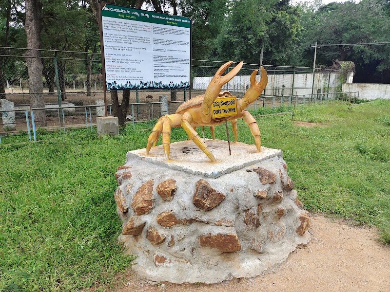 Namada Chilume Deer Park - Namada Chilume Deer Park, 958R+XFF, Devarayanadurga SF, Karnataka 572140, India