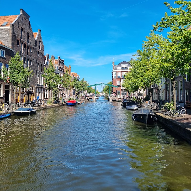 Burcht van Leiden - Burcht van Leiden, Van der Sterrepad 5, 2312 JS Leiden, Netherlands