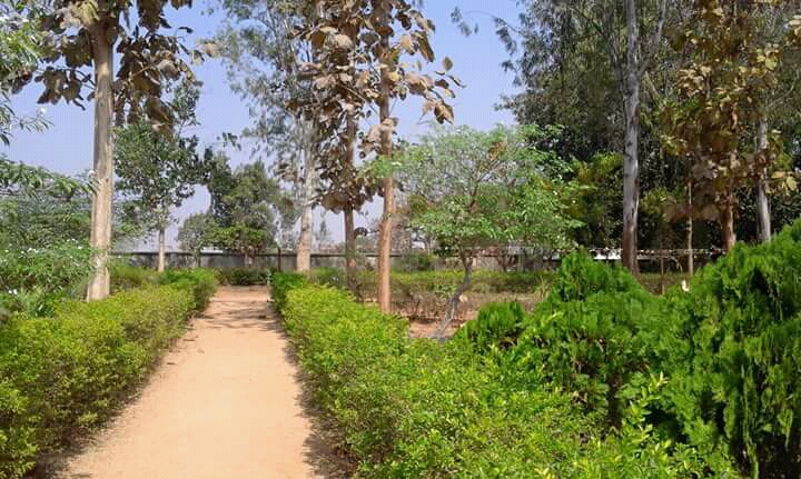 D S P High School , Juba - D S P High School , Juba, J37Q+494, Khalkhali, Odisha 767026, India