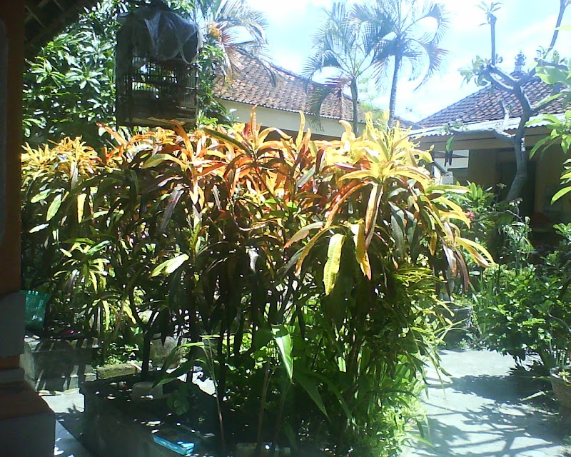 Annie's Homestay - Annie's Homestay No Jl. Danau Toba No.12, Sanur, Denpasar Selatan, Kota Denpasar, Bali 80227, Indonesia