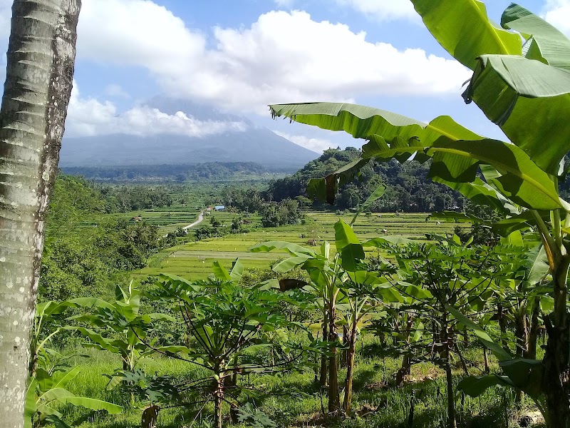 Bukit Cinta - Bukit Cinta, Abyandauh,Pangi Karangasem, HJF5+FGV, Karangasem, Kec. Karangasem, Kabupaten Karangasem, Bali 80811, Indonesia