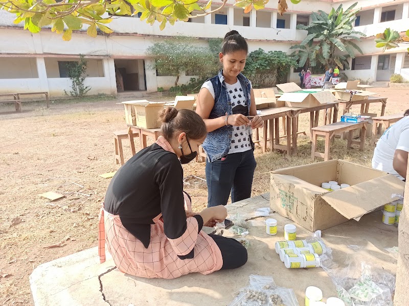 D.P.S.Higher Secondary School - D.P.S.Higher Secondary School, 6X6J+WFW, Bhakurra Navapara, Chhattisgarh 495112, India