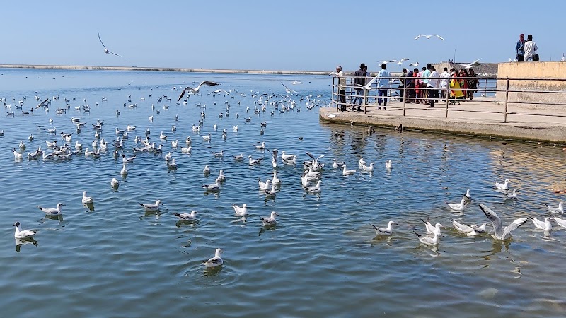 Triveni Mahasangam - Triveni Mahasangam, Gujarat 362268