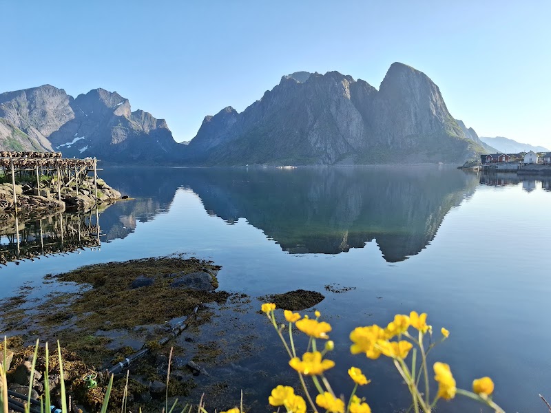 Sakrisøy Rorbuer AS - Sakrisøy Rorbuer AS Sakrisøya 2, 8390 Reine, Norway