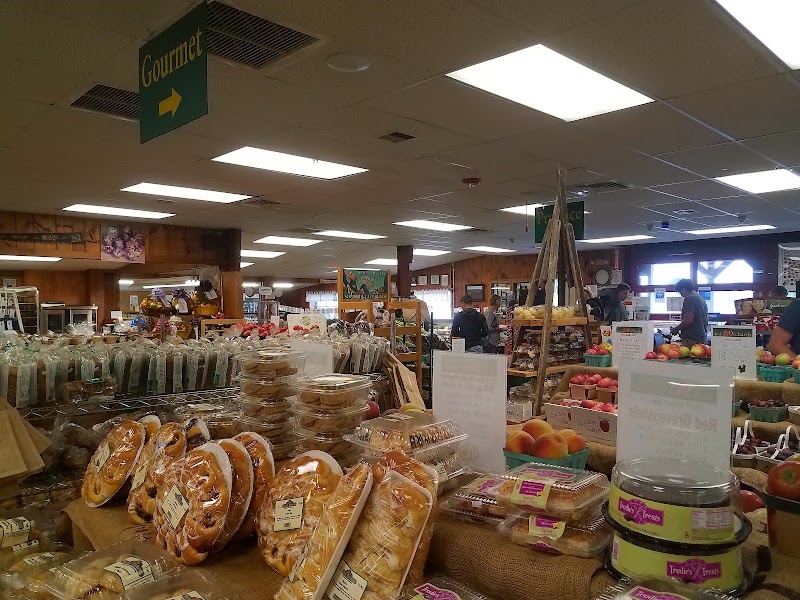 Bolton Orchards - Bolton Orchards, 125 Still River Rd, Bolton, MA 01740, USA