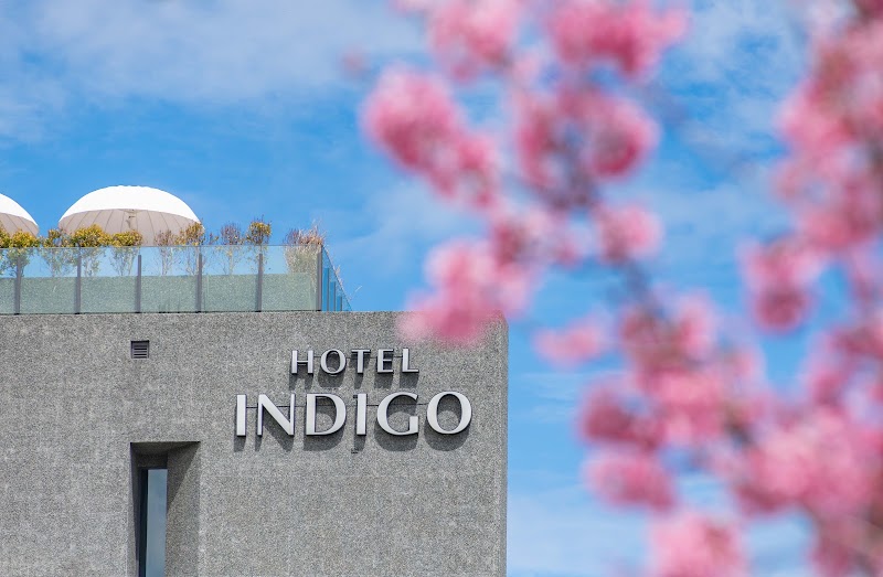 Hotel Indigo Alishan - Hotel Indigo Alishan 602, Taiwan, Chiayi County, Fanlu Township, Gongtian Village, 龍頭20號