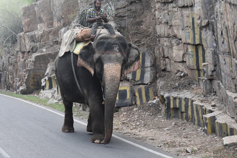 Amer Road - Amer Road, Amer Rd, Jaipur, Rajasthan, India