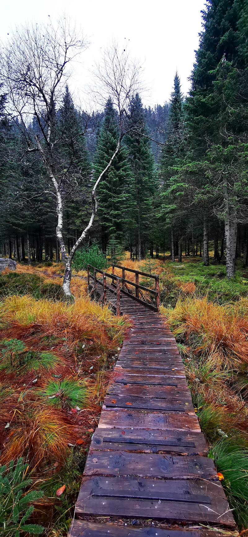 Fløyen Start - Fløyen Start, Fjellveien, 5019 Bergen, Norway