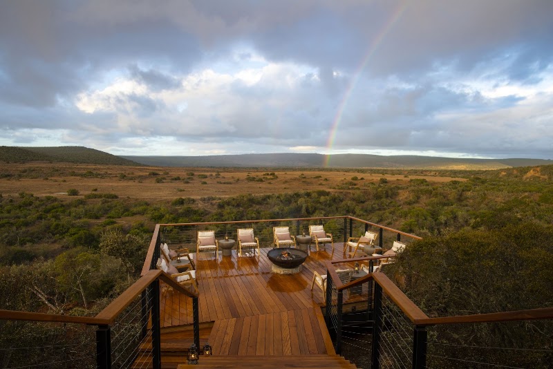 Sindile at Shamwari Private Game Reserve - Sindile at Shamwari Private Game Reserve, Shamwari Private Game Reserve, Paterson, Sindile Lodge, Paterson, 6130, South Africa