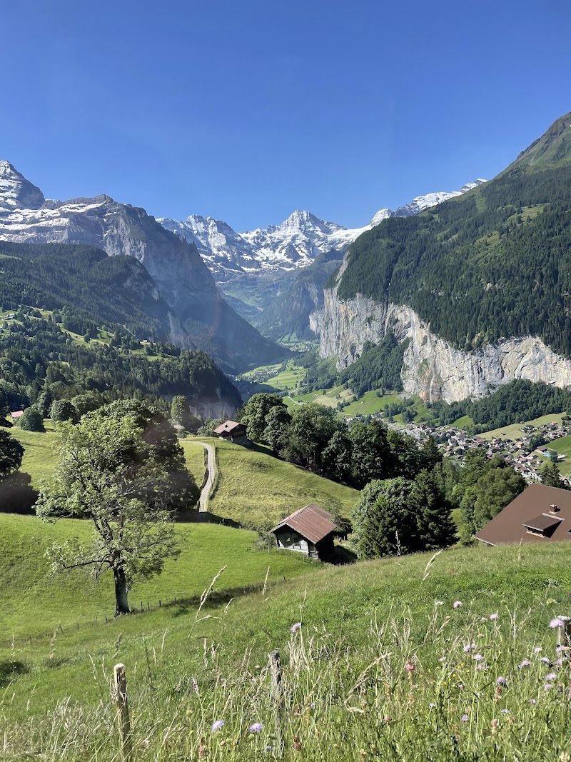 Wengen Jungfrau