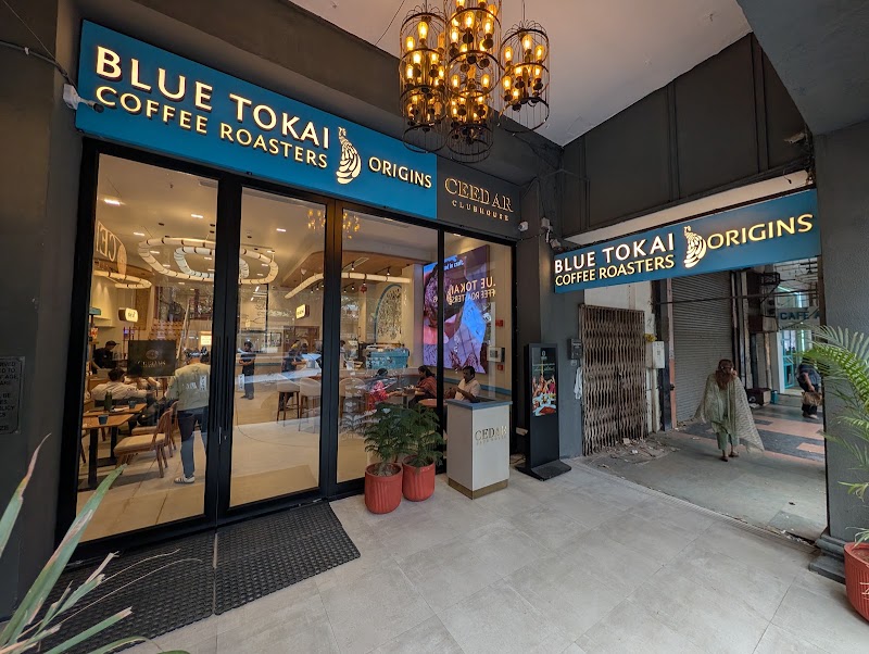 Blue Tokai Coffee Roasters Origins | Janpath