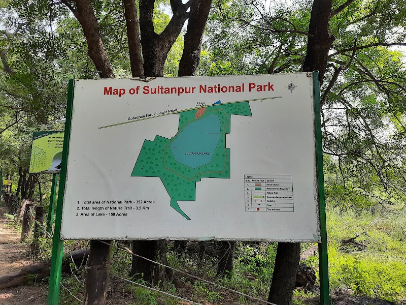 Sultanpur National Park - Sultanpur National Park National Park, Gurgaon - Farukhnagar Rd, Sultanpur, Gurugram, Haryana 122006, India