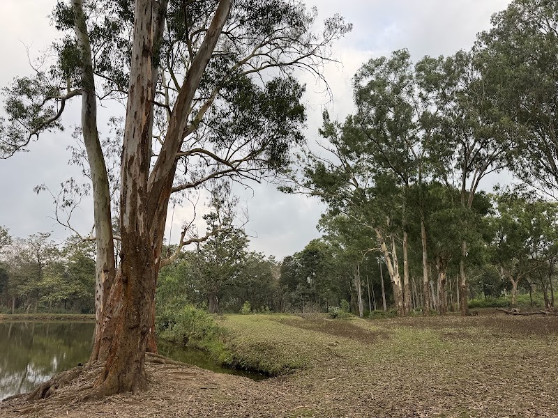 K Gudi. - K Gudi., W43C+GVW, B.R.Hills, Karnataka 571342, India