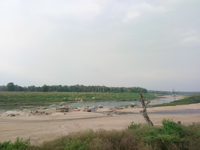 Pench National Park - Pench National Park, Turia ,Tehsil :Kurai, near Turia gate, Madhya Pradesh 480881, India