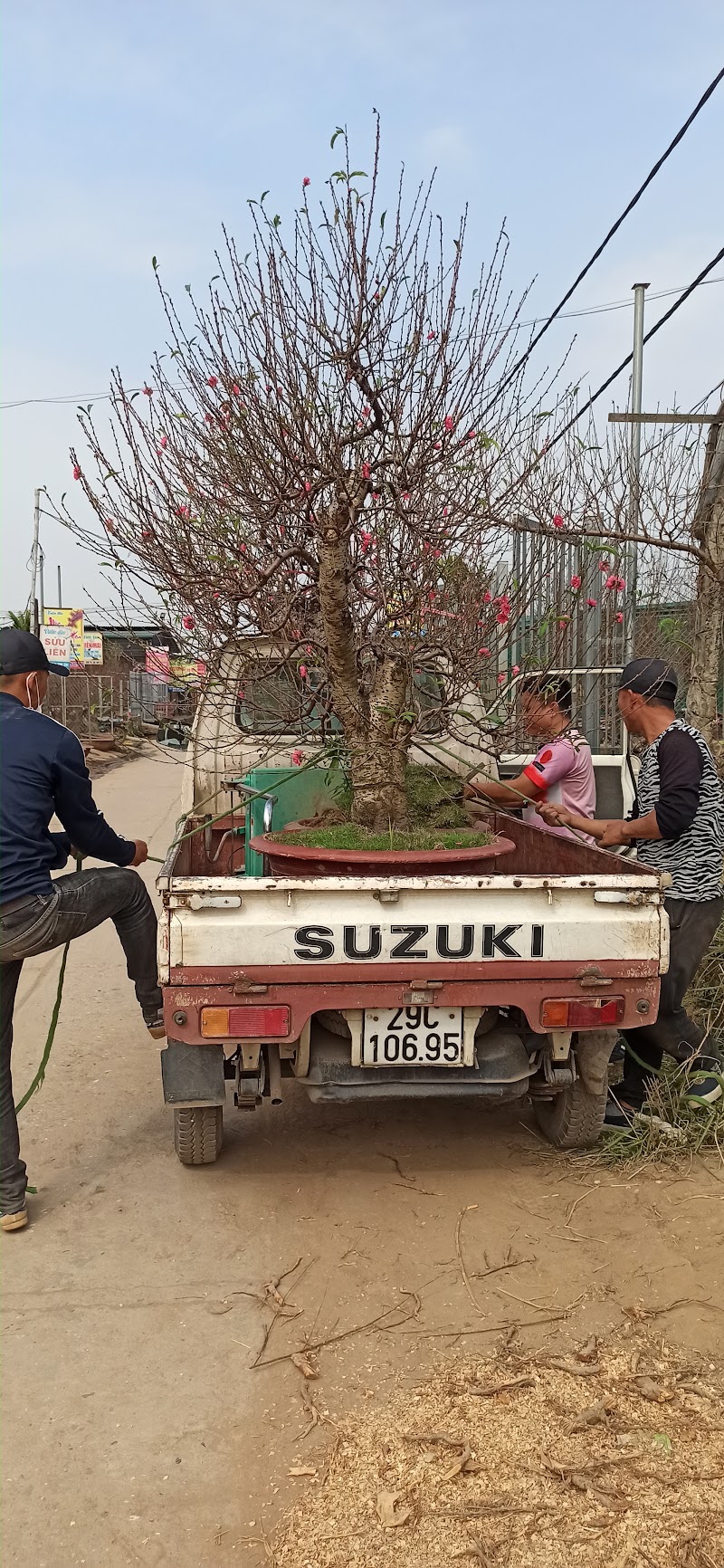 Vườn Đào Phương Bắc - Vườn Đào Phương Bắc, 374 Đ. Âu Cơ, Hồng Hà, Hà Nội 100000, Vietnam