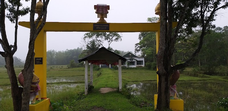 Cinnamara - Cinnamara, Jorhat, Assam, India