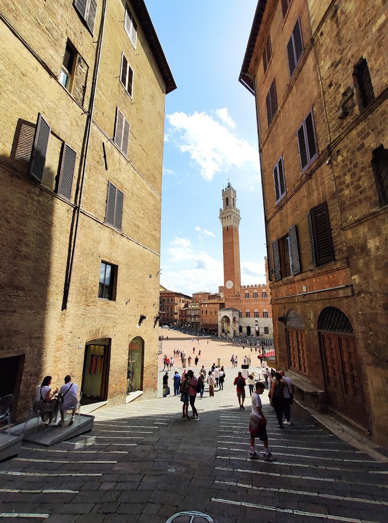 Il Campo - Il Campo, 53100 Siena SI, Italy