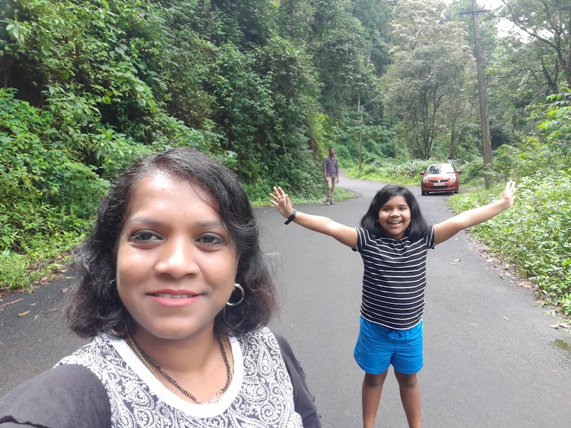 Bison Valley Waterfalls - Bison Valley Waterfalls 333F+3Q8, Bison Vly Rd, Pallivasal, Keralam 685612, India